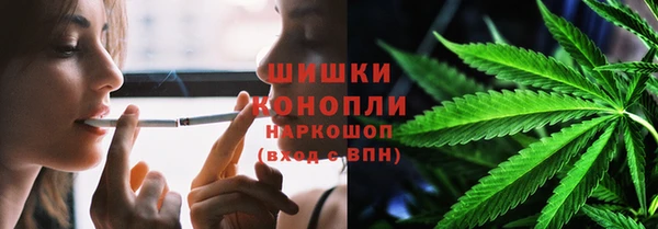 твердый Инсар