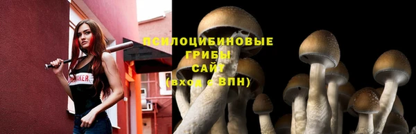 Альфа ПВП Инта