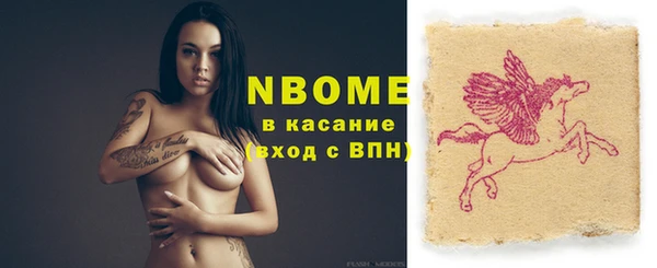 твердый Инсар