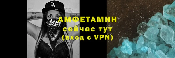 твердый Инсар