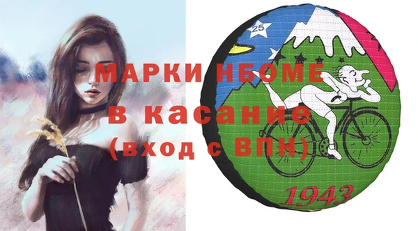 твердый Инсар