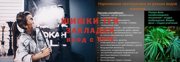 Альфа ПВП Инта